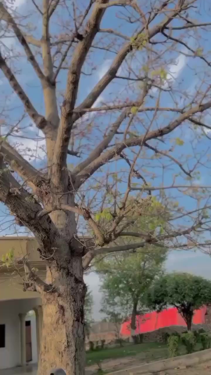 @حسنین🥂