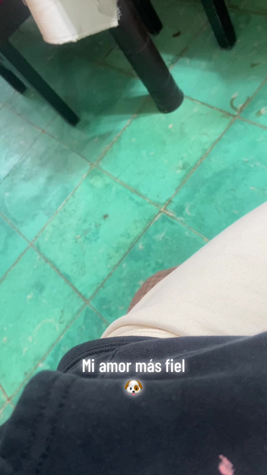 @johanasilva196