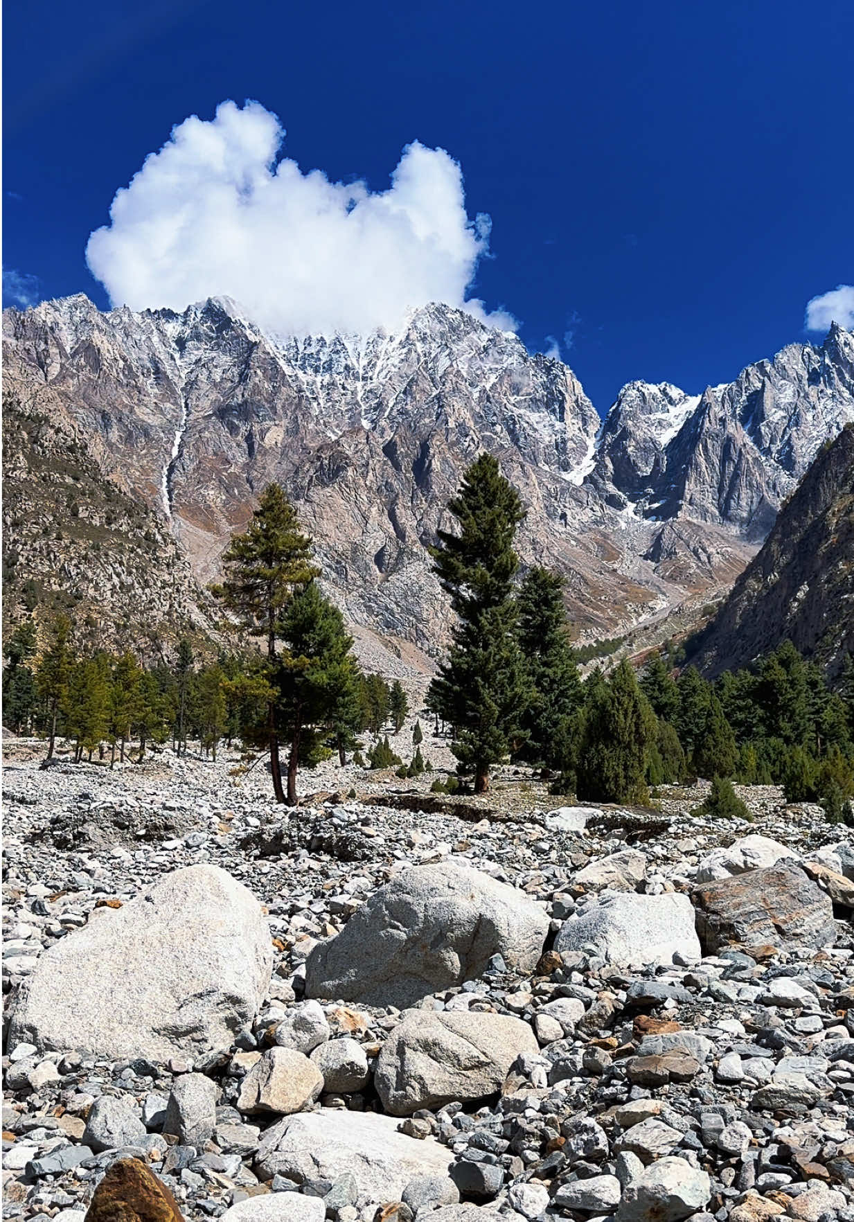 @travelwithbilal