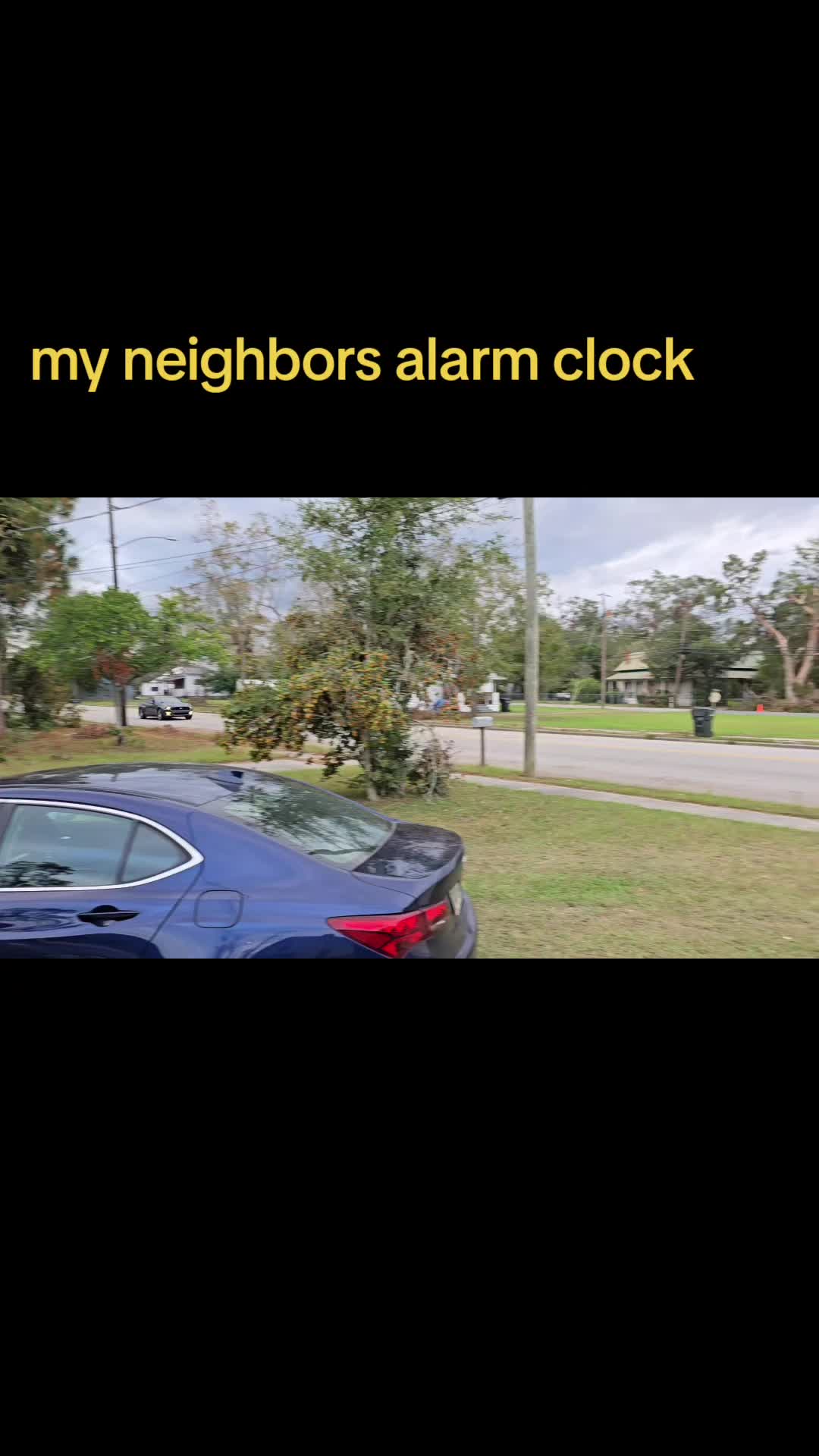 @5.0 Bruno