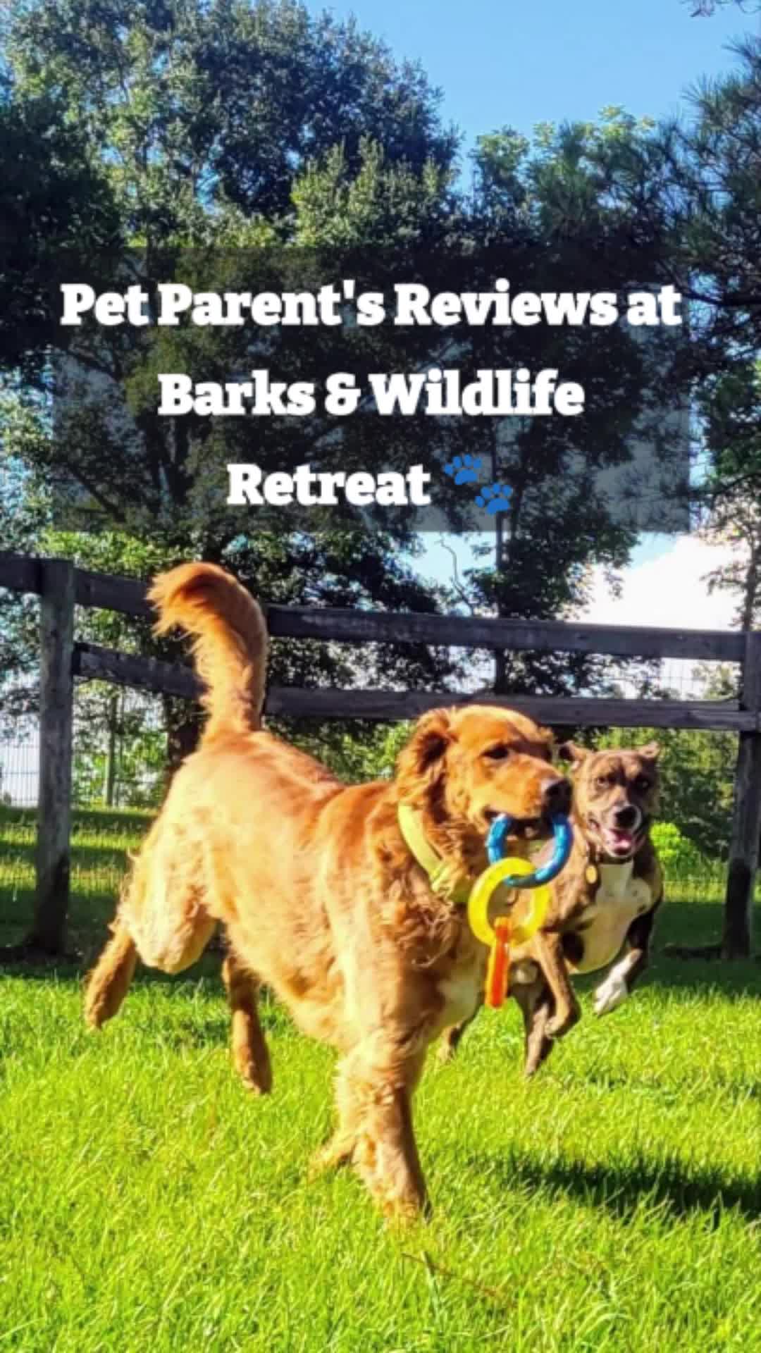@Barks & Wildlife Longville LA