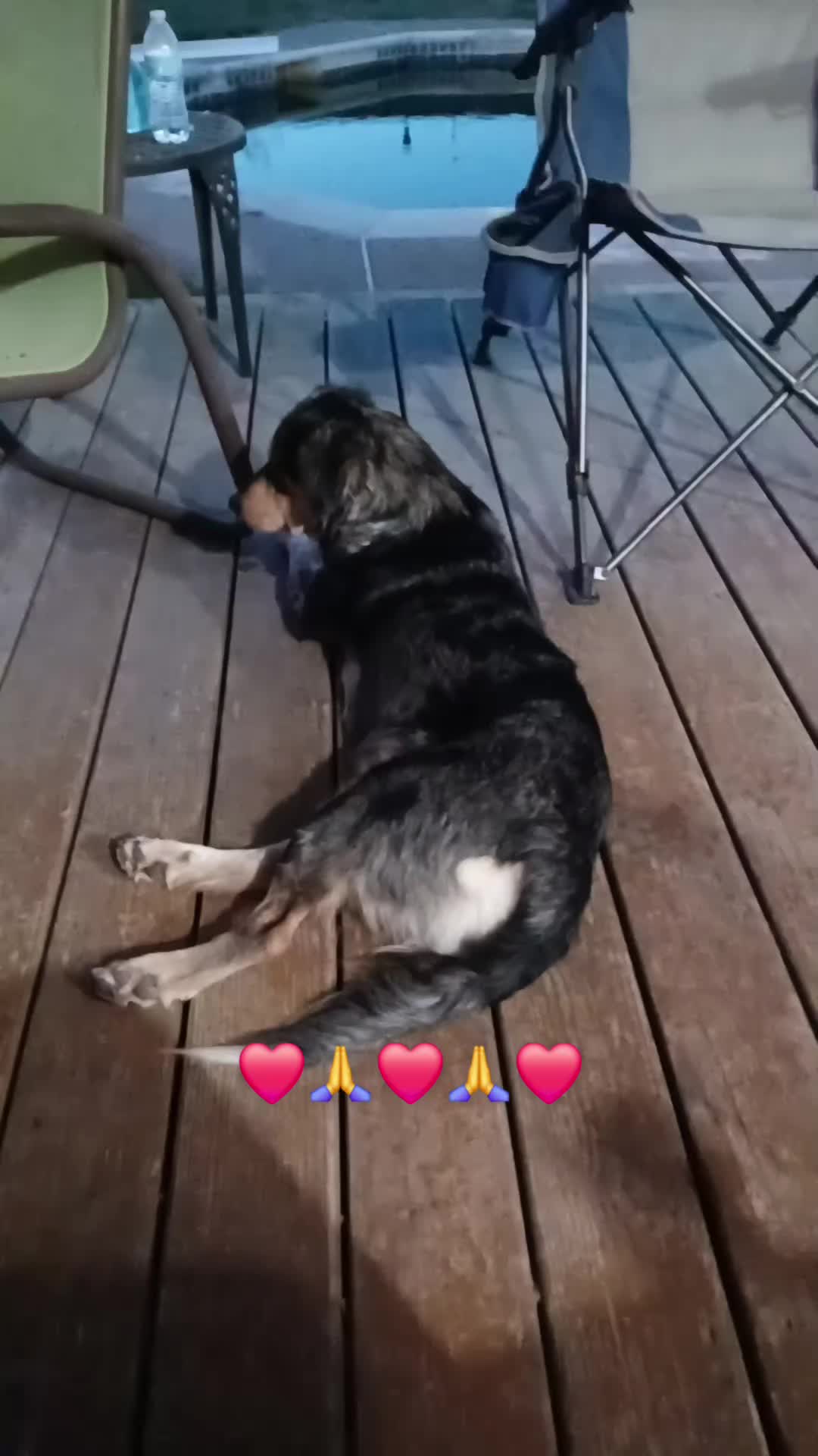 @TARDINATOR❌️