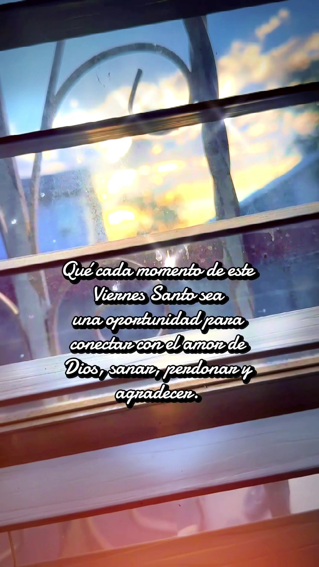 @Liiz🦋🤍