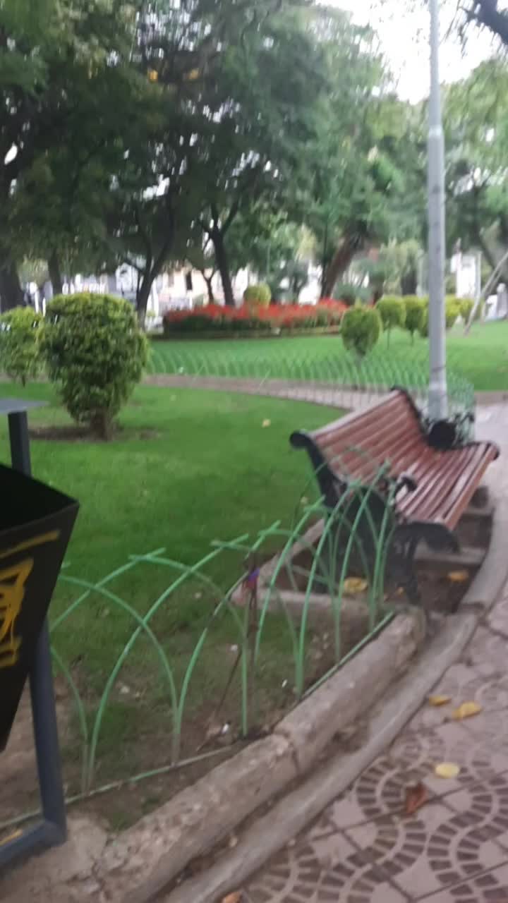 @Magui777