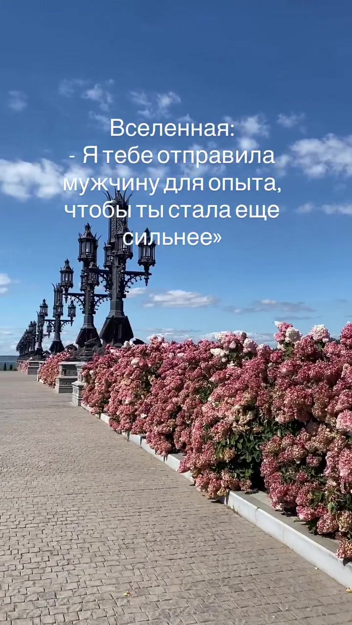 @🪷Альфия Ибрагимова🪷