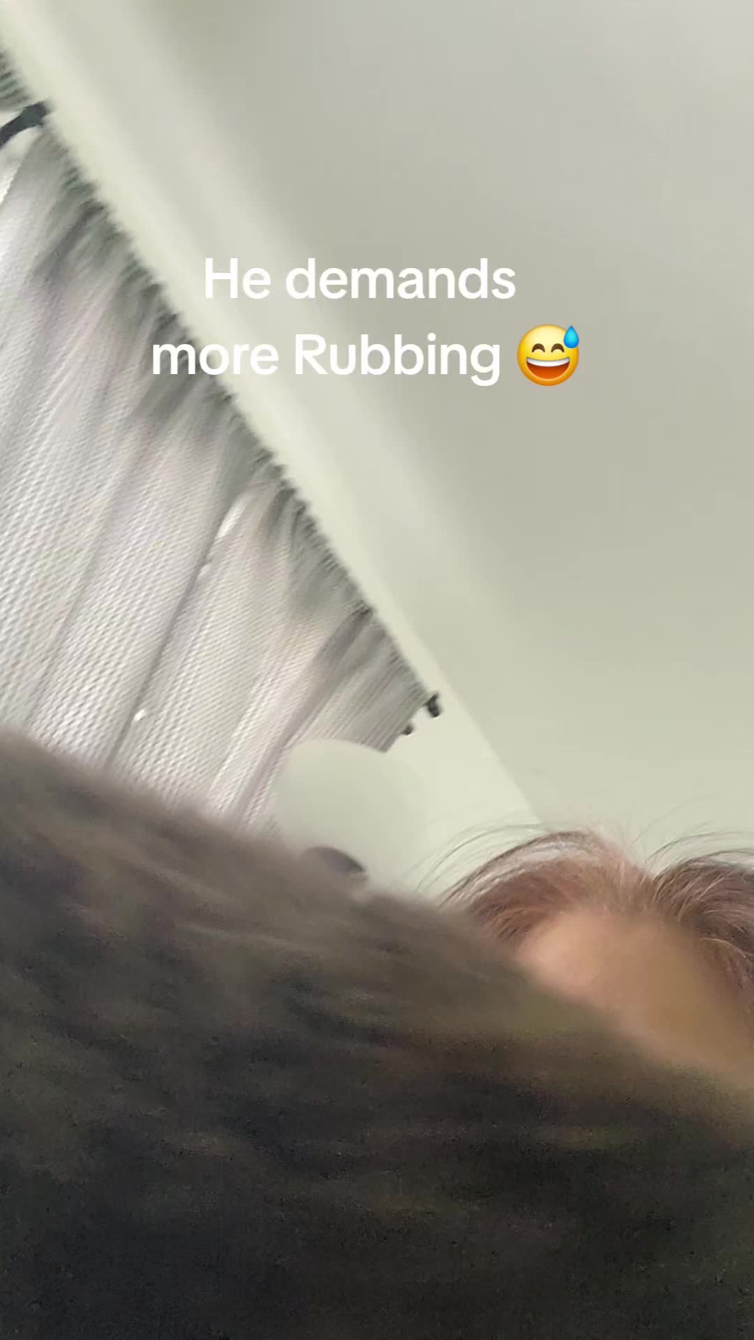@BotaniqueBlissAestheticsCare