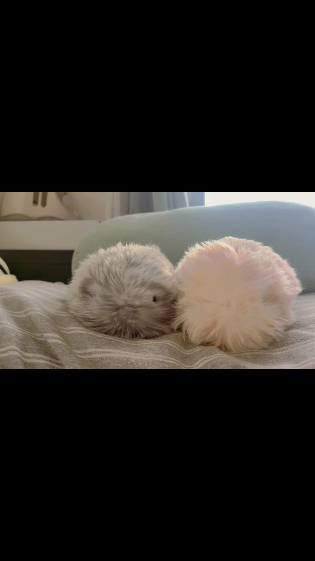 @a_o_i_._._