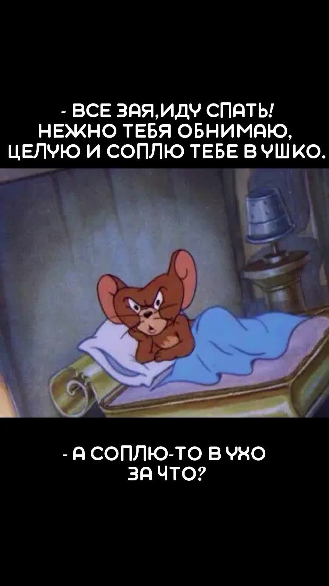 @STEFI88
