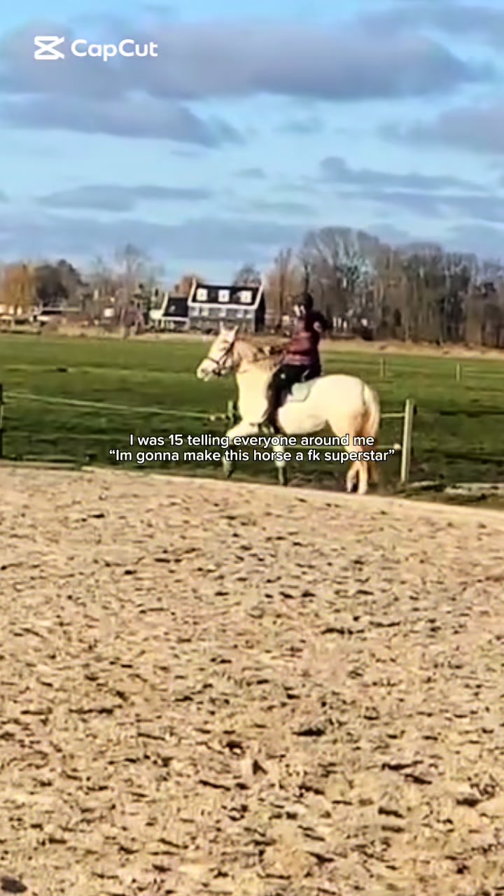 @🇳🇱 yara’s horselife 🇳🇱