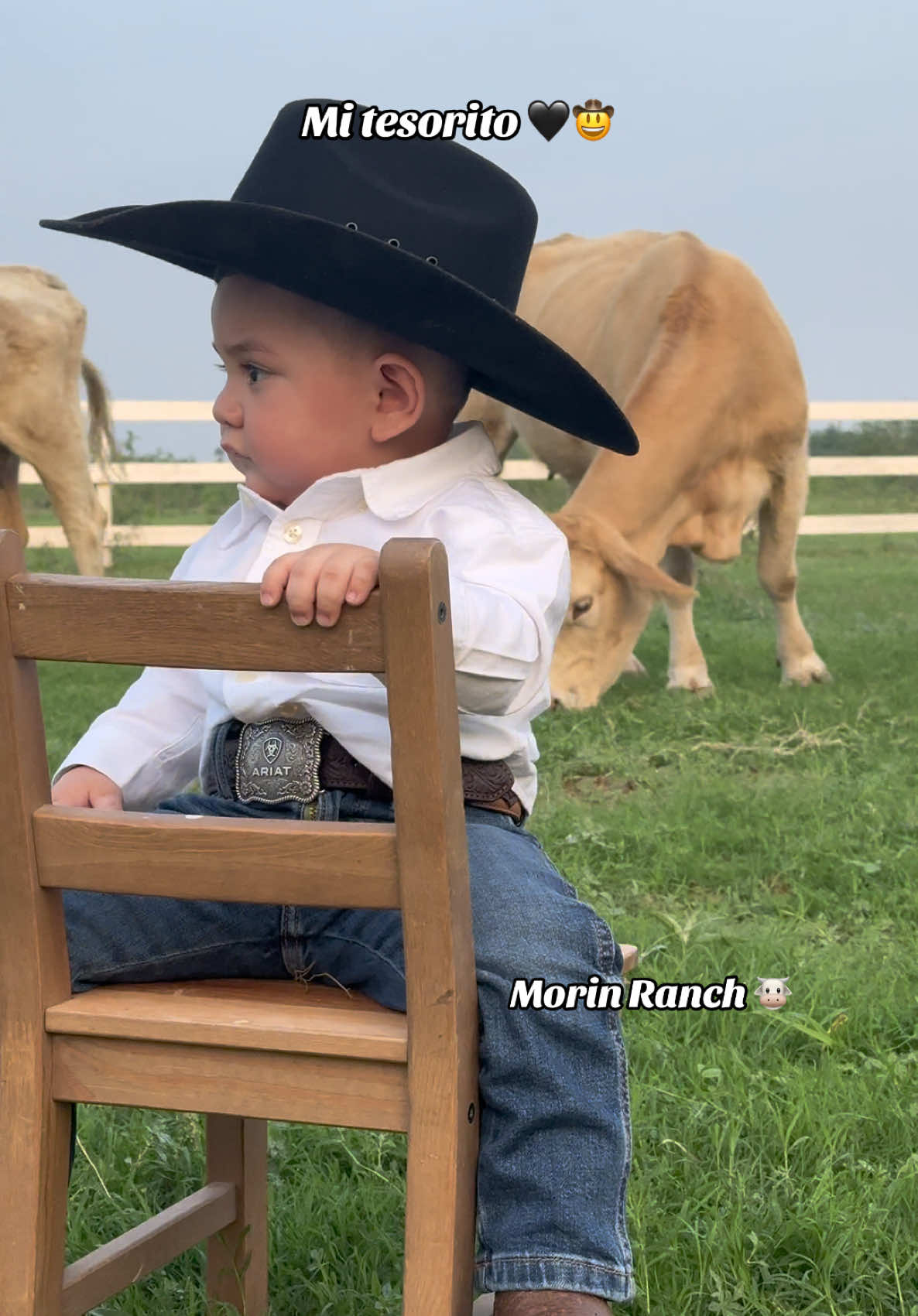 @Morin Ranch
