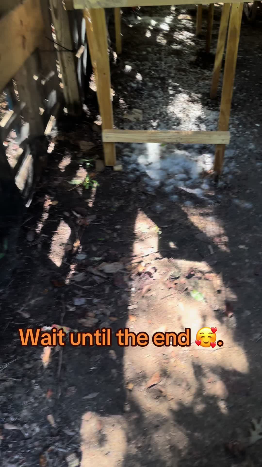 @rabbitqueen2025