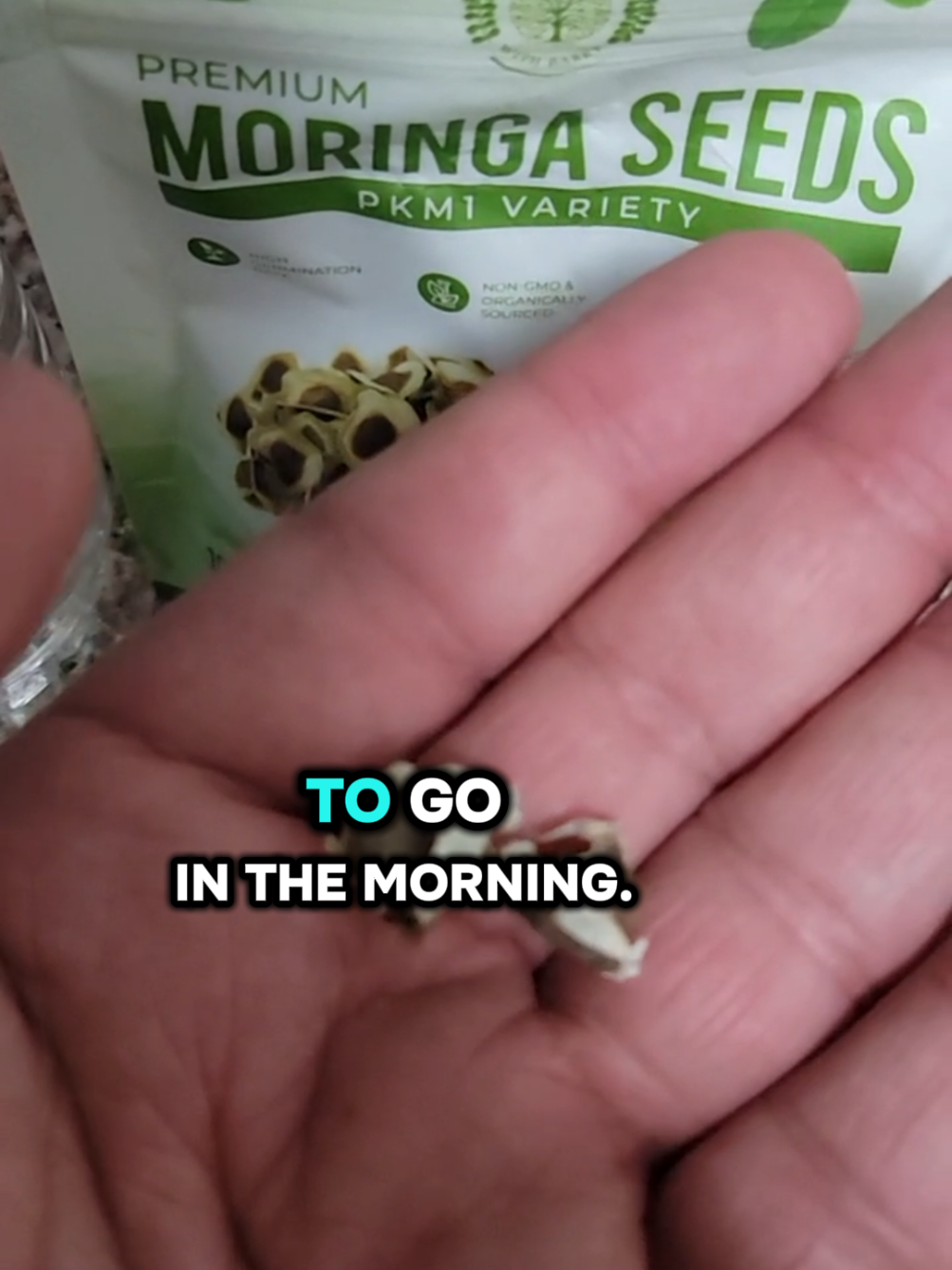 @JoeWavez🌿