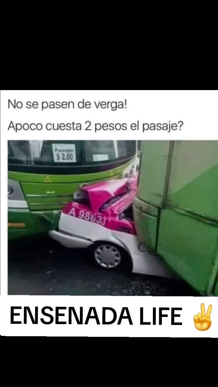 @EL Gallo Salcedo🇲🇽