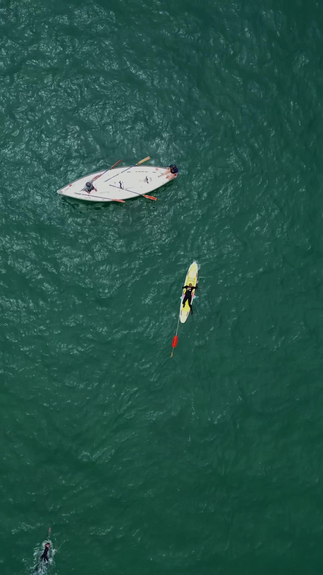 @lacolifeguards