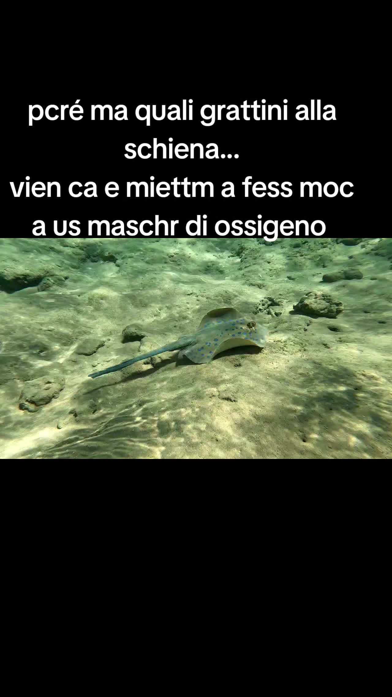 @19napoletano19