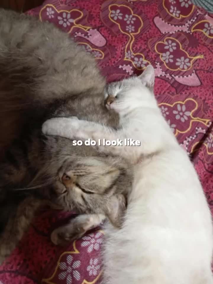 @bitter_sweetenn