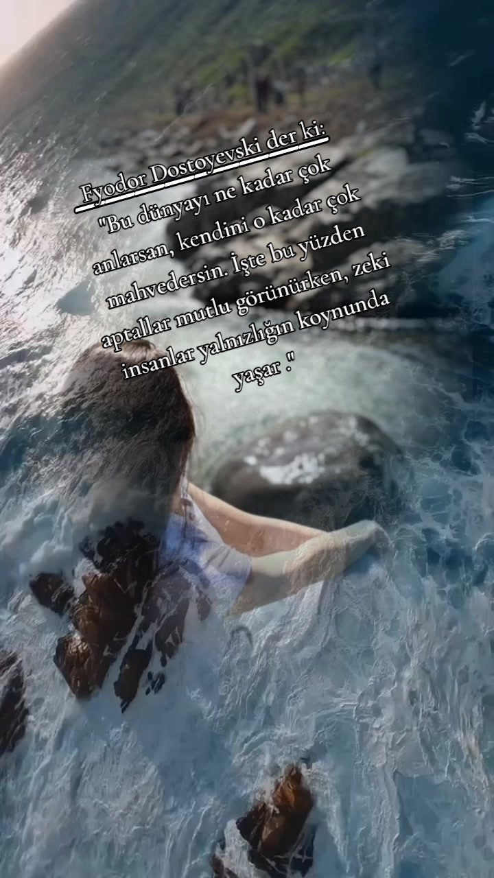 @ɯǝlɐnʞolı