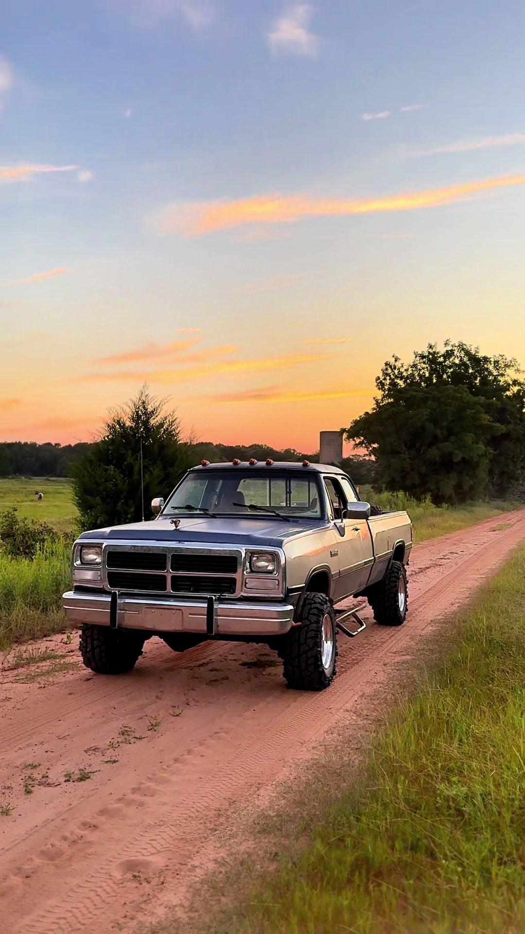 @𝓐𝓲𝓭𝓮𝓷 𝓖𝓸𝓾𝓵𝓭 🌾