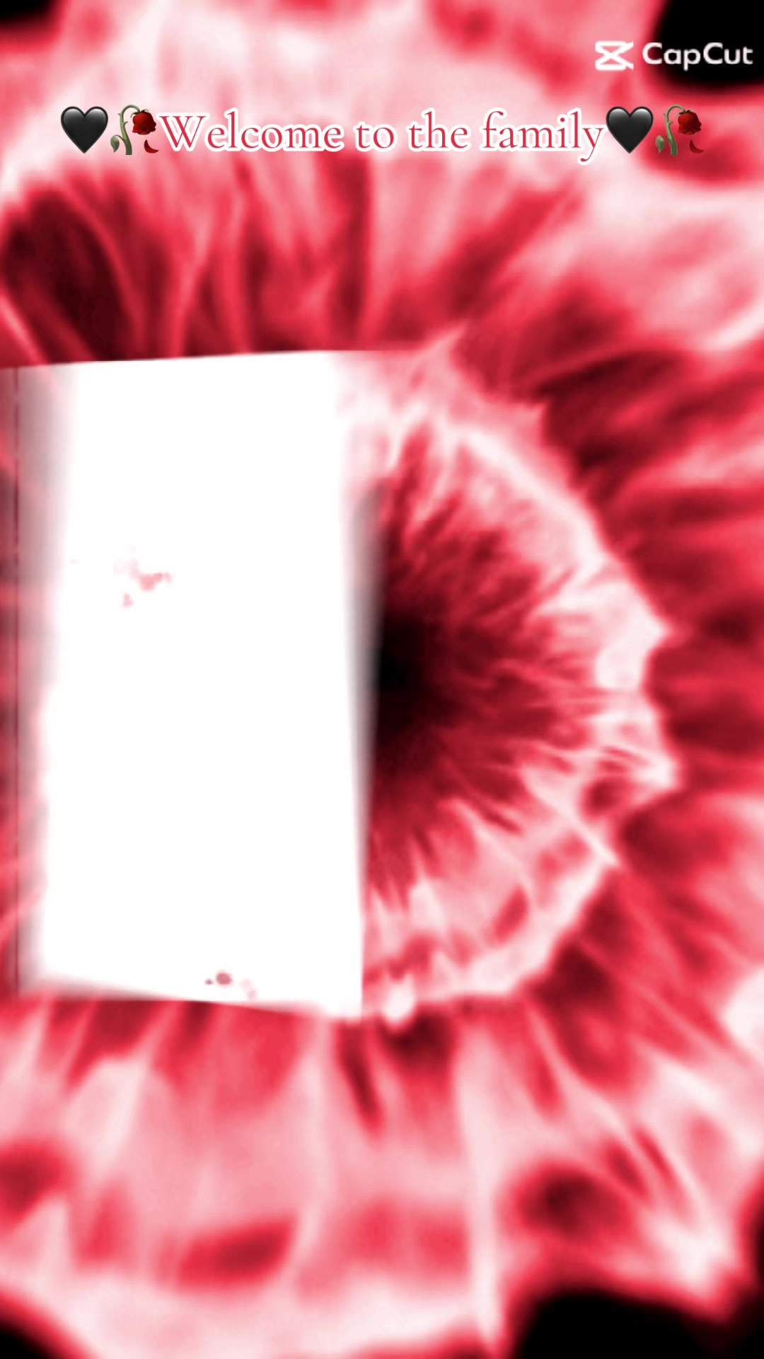 @🪶🦋𝓜𝓪𝓰𝓰𝓲𝓮🦋🪶🌈🎼Bᘿ&Lambda;₮🌍