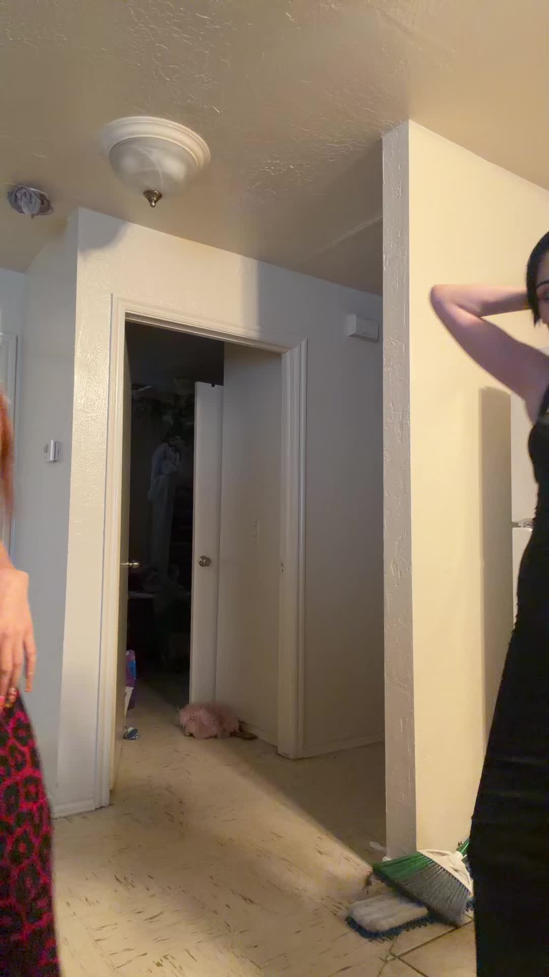 @sarahdih