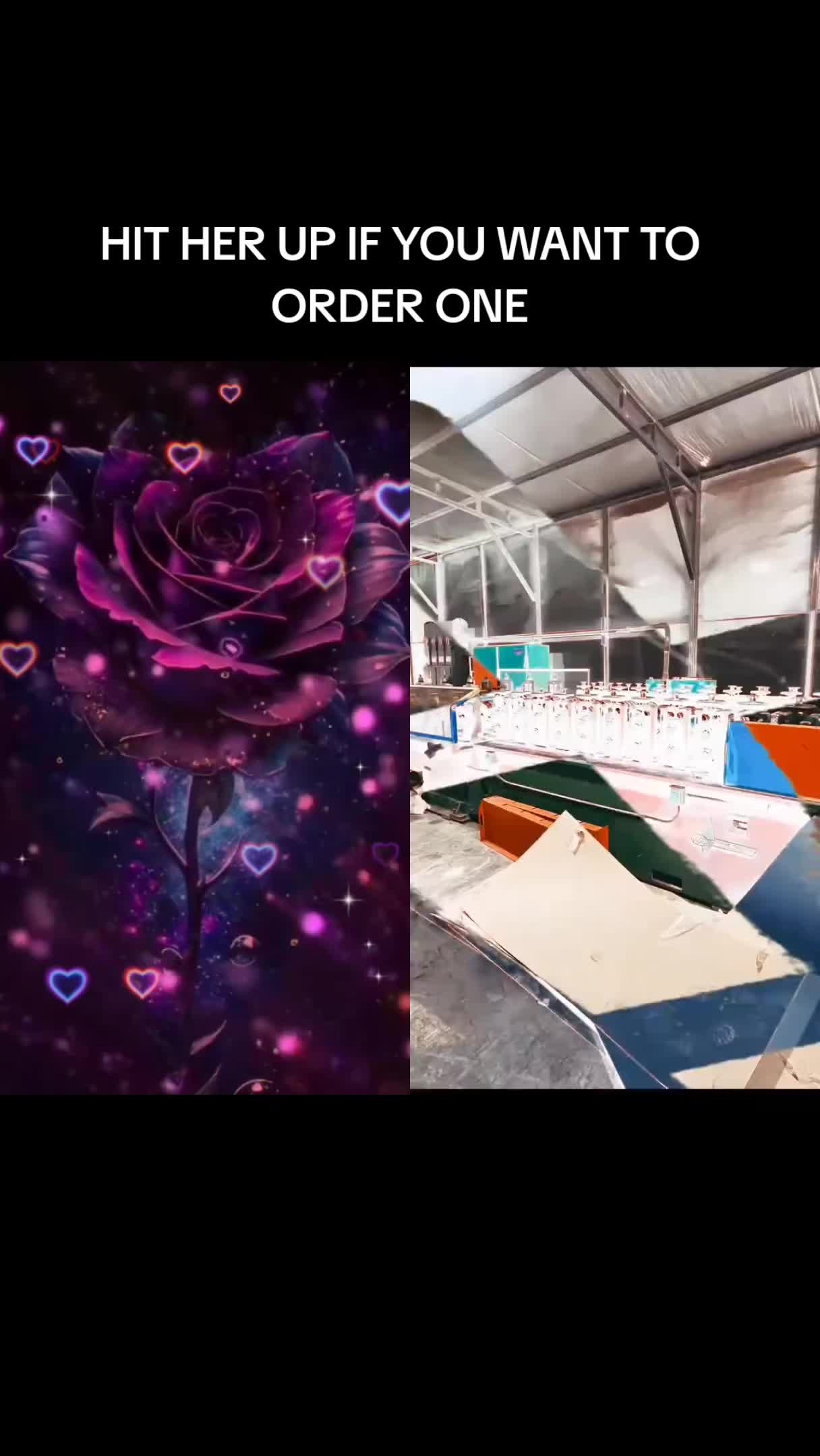 @BeautifulMayFlowers