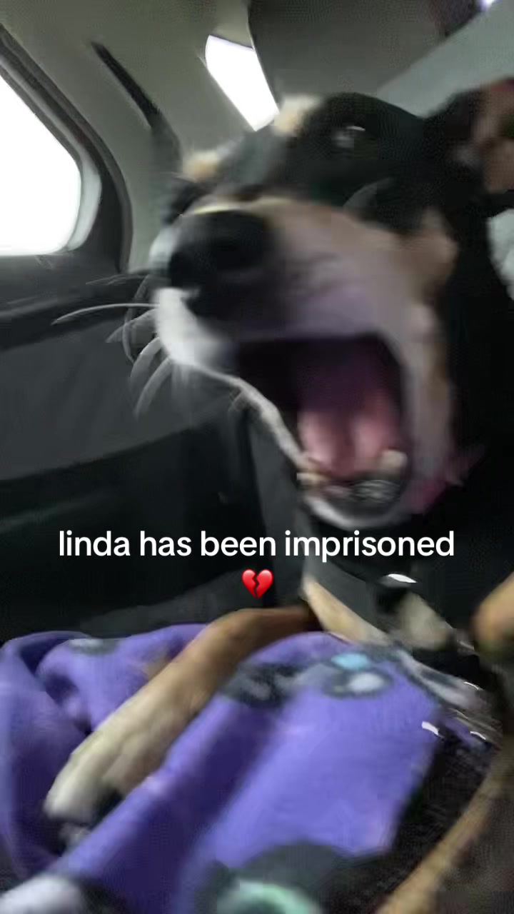 @Linda Longnips