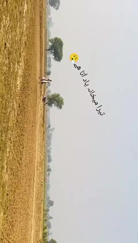 @Fahad JaTT Gangaal