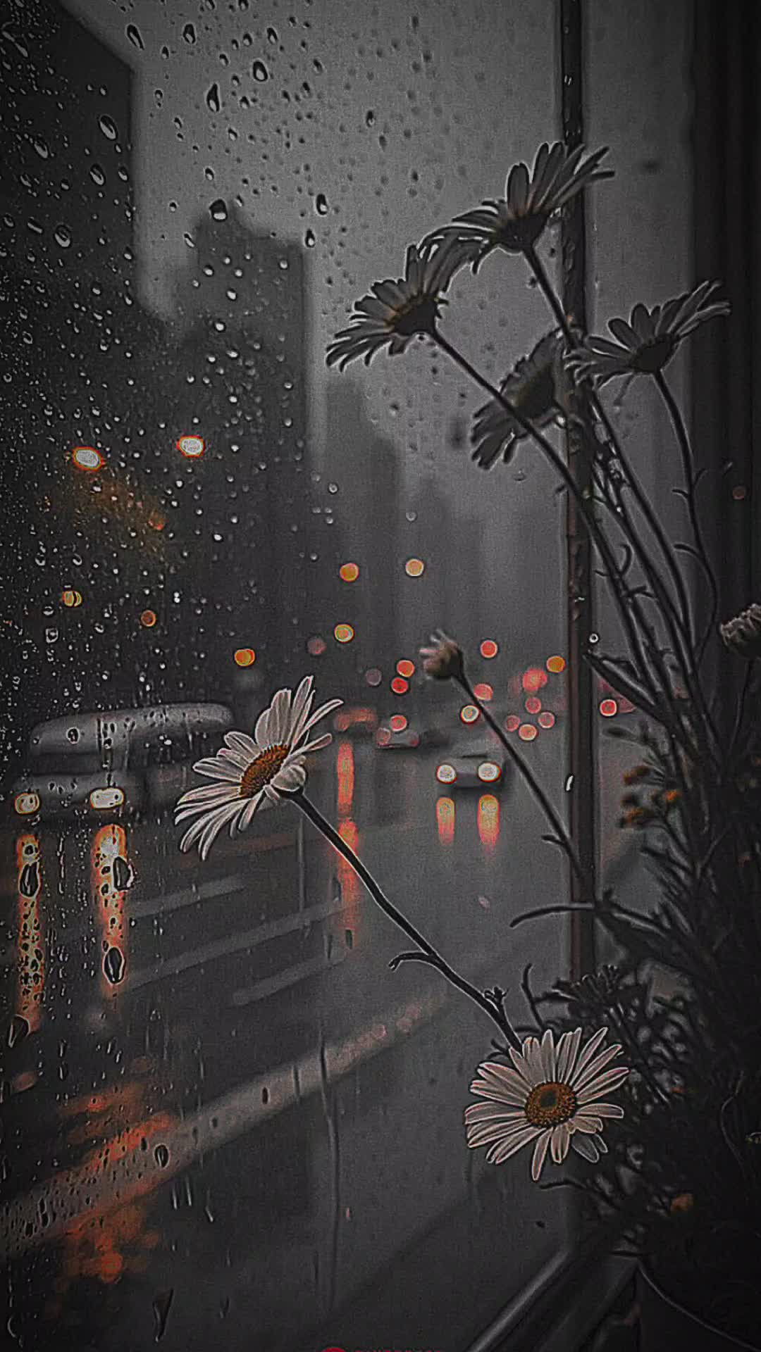 @★彡[ᴠɪʙɪɴɢᴡɪᴛʜ_ᴡᴀꜱɪꜰꜱʜᴀʜᴢᴀᴅ]彡★