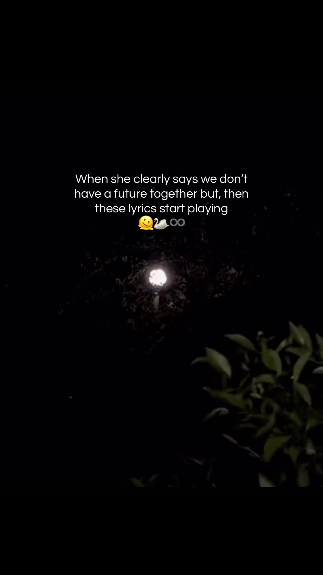 @𝐌🕷️