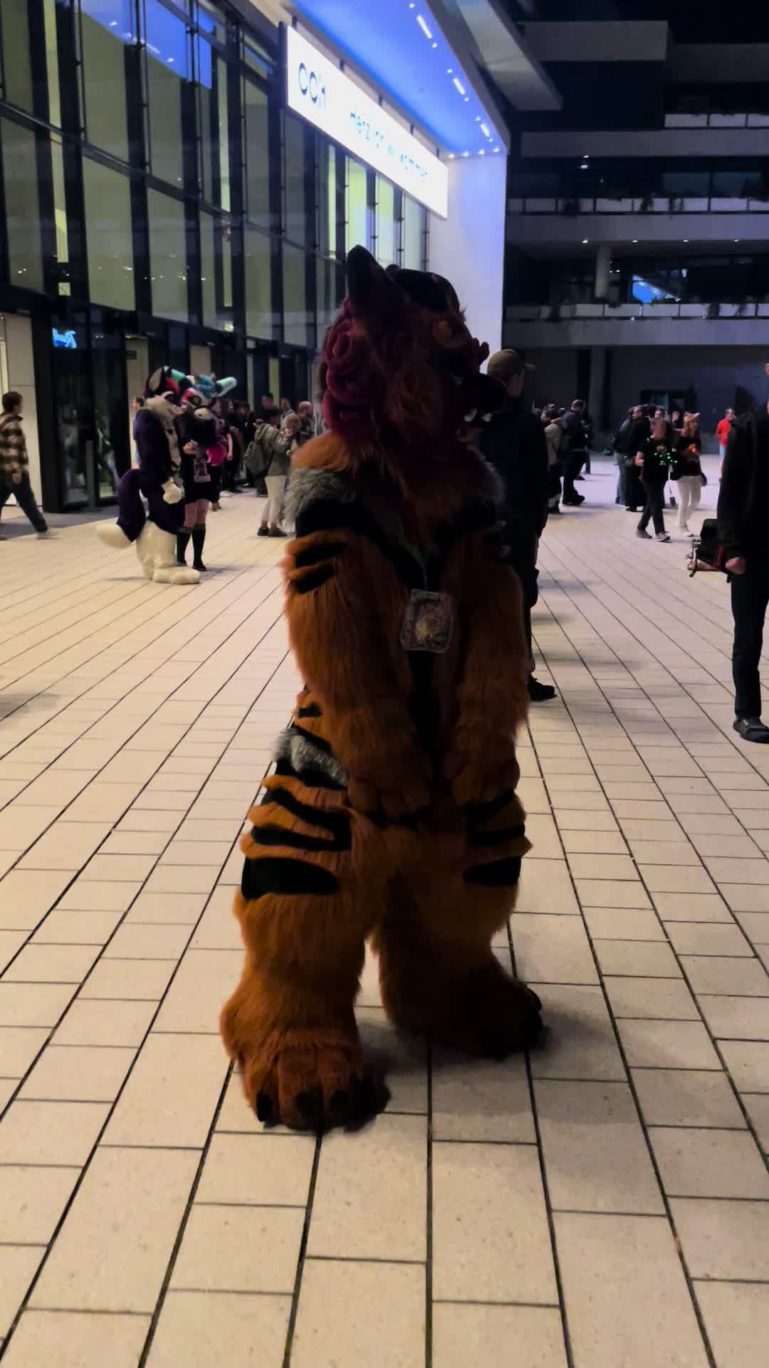 @Shangfudog