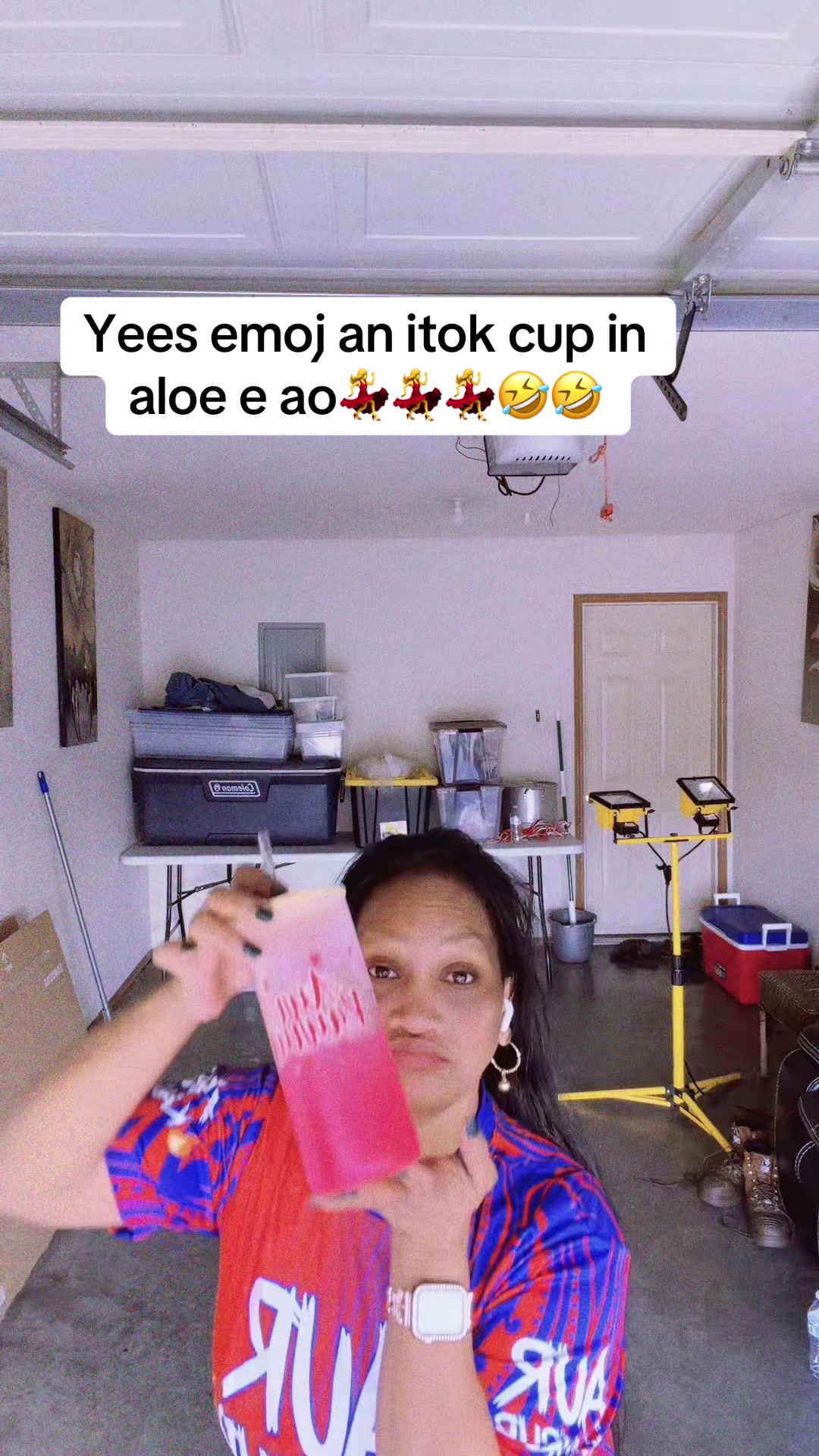 @rosinelain375