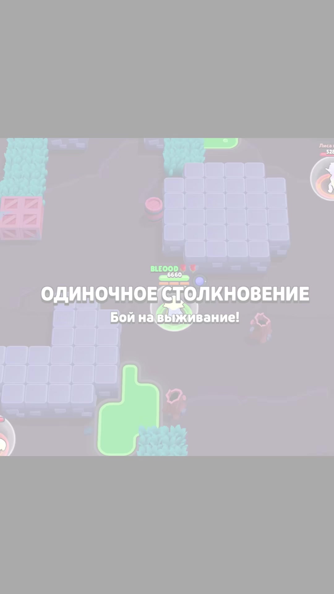 @bleoodkings