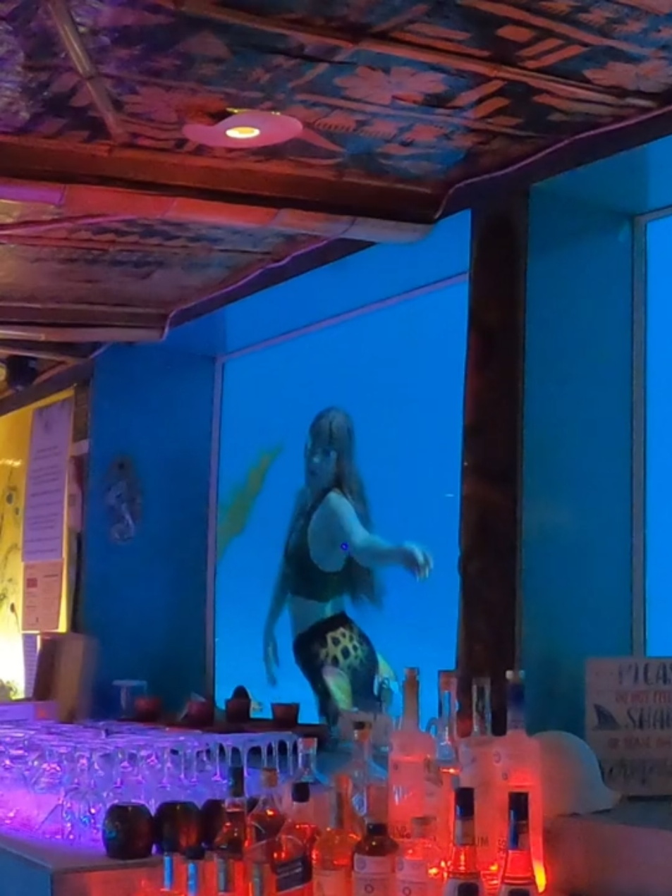 @Little Mermaid Aerial