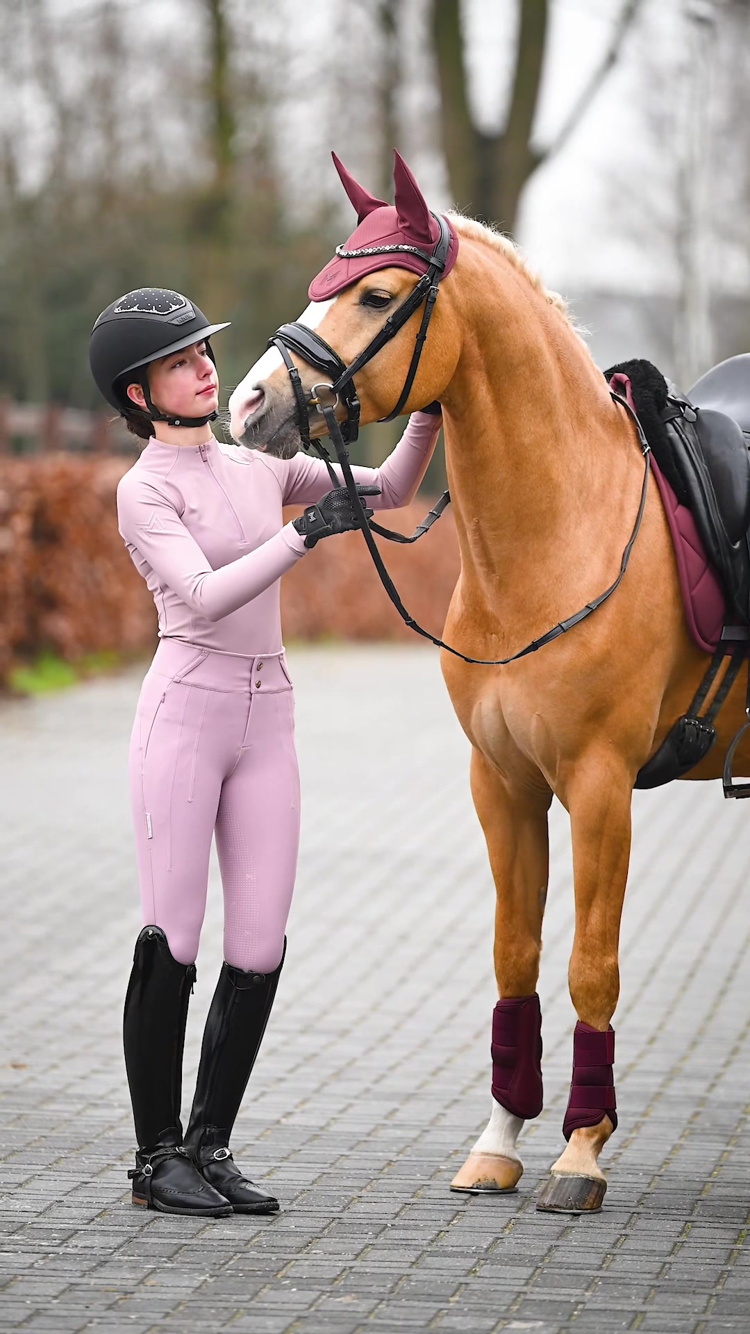 @Maximilian Equestrian
