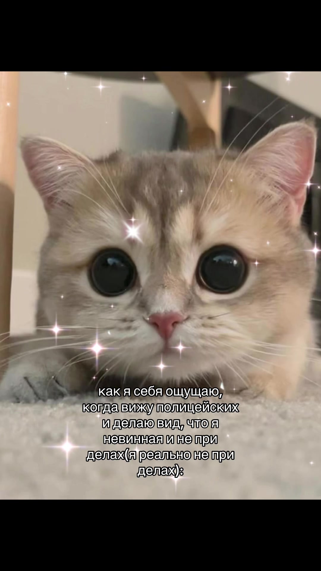 @██████живчик ██████