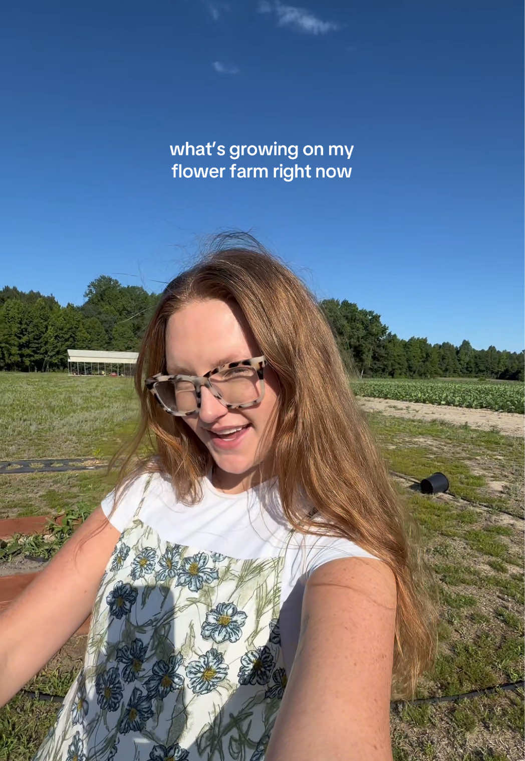 @Christy Lisec
