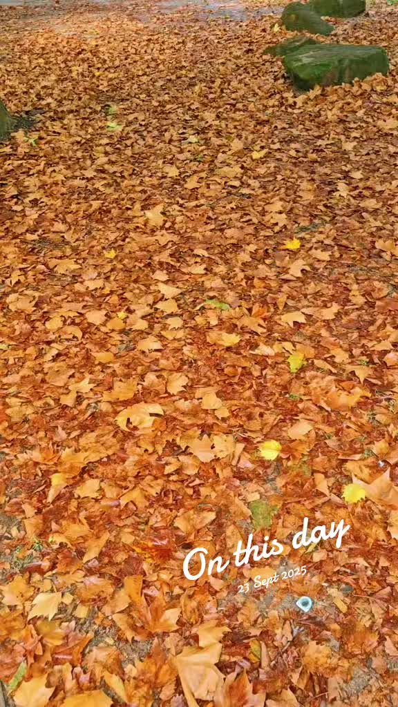 @دِیا جلے، جان جلے🫶 ♥️ 🇩🇪