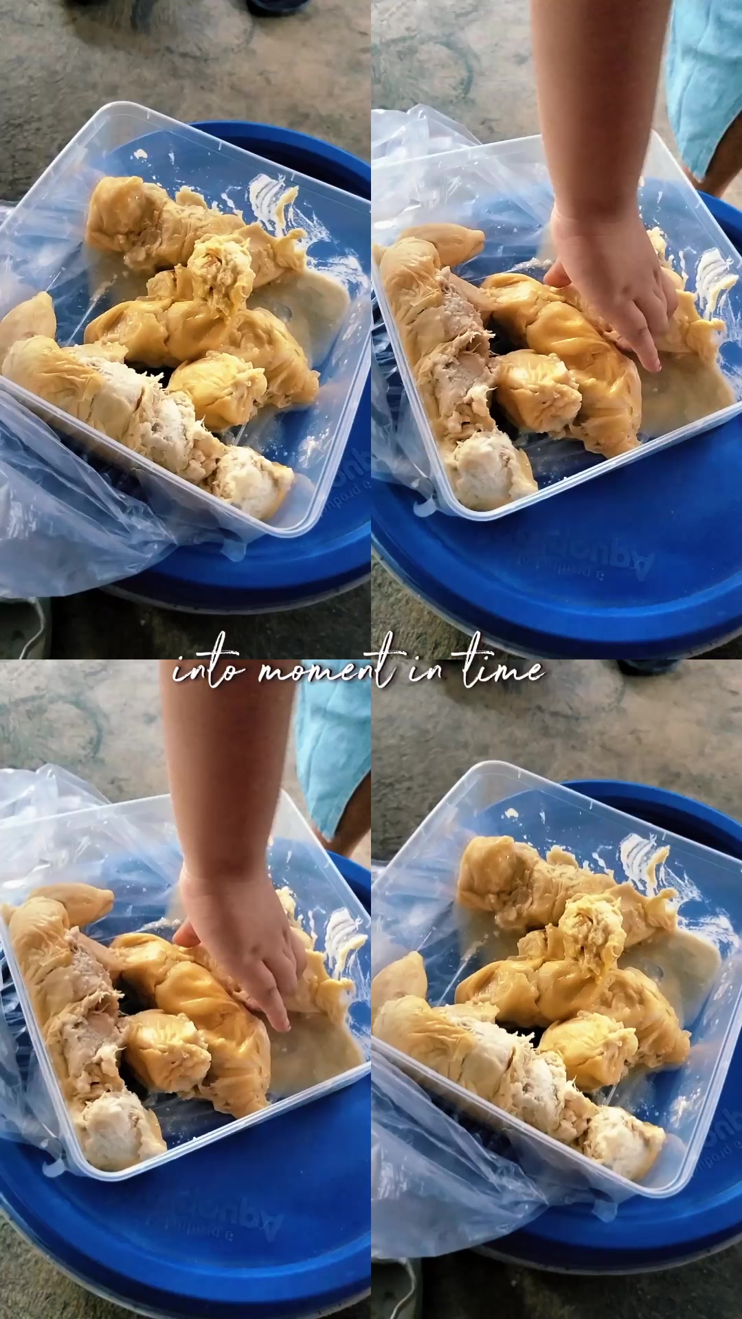 @Aryani0207🦀
