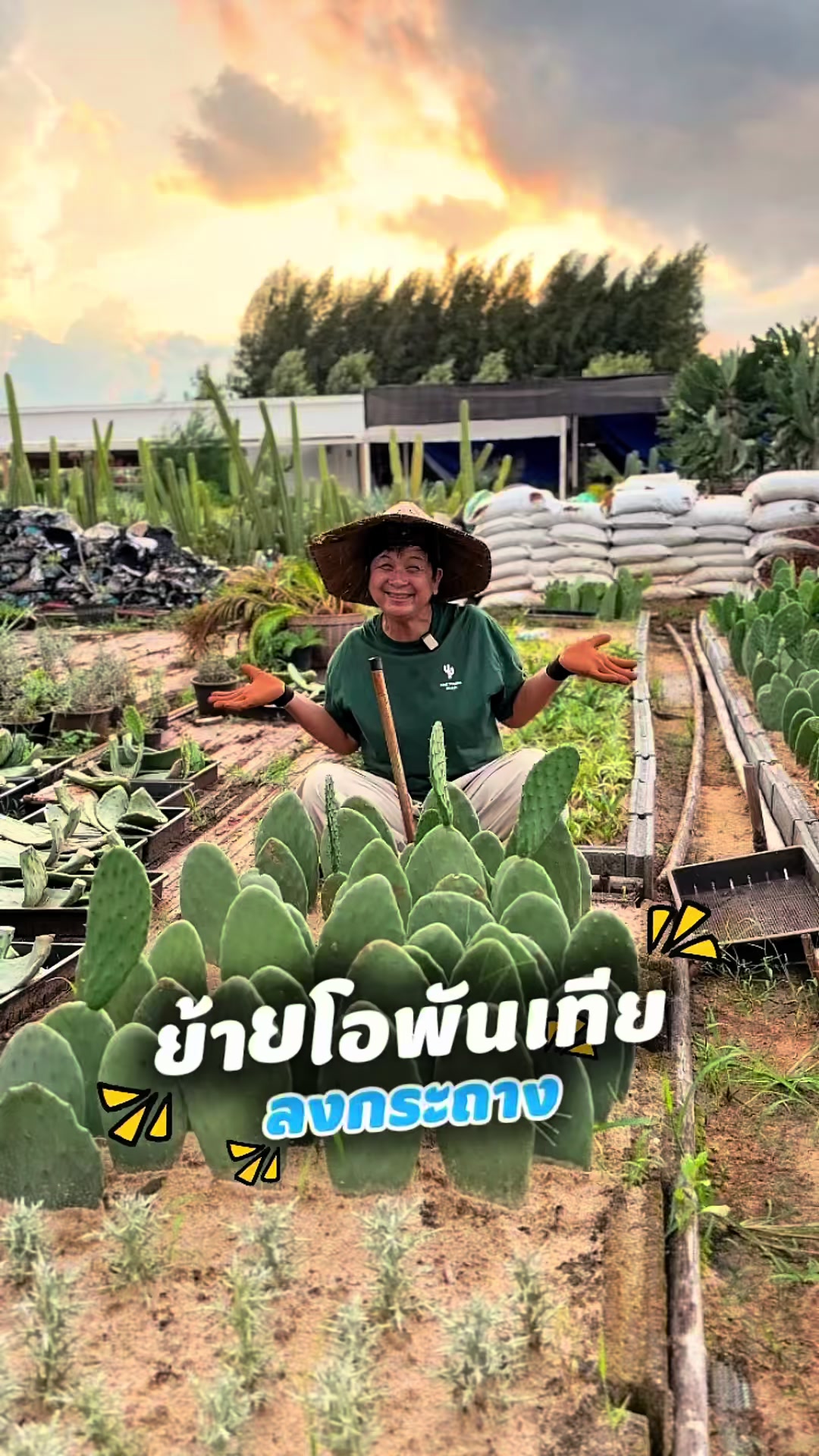 @ไร่วันยังขำ Oneyoungkham farm