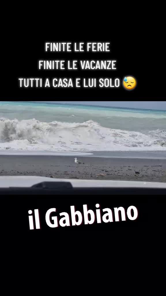 @Marco 😎