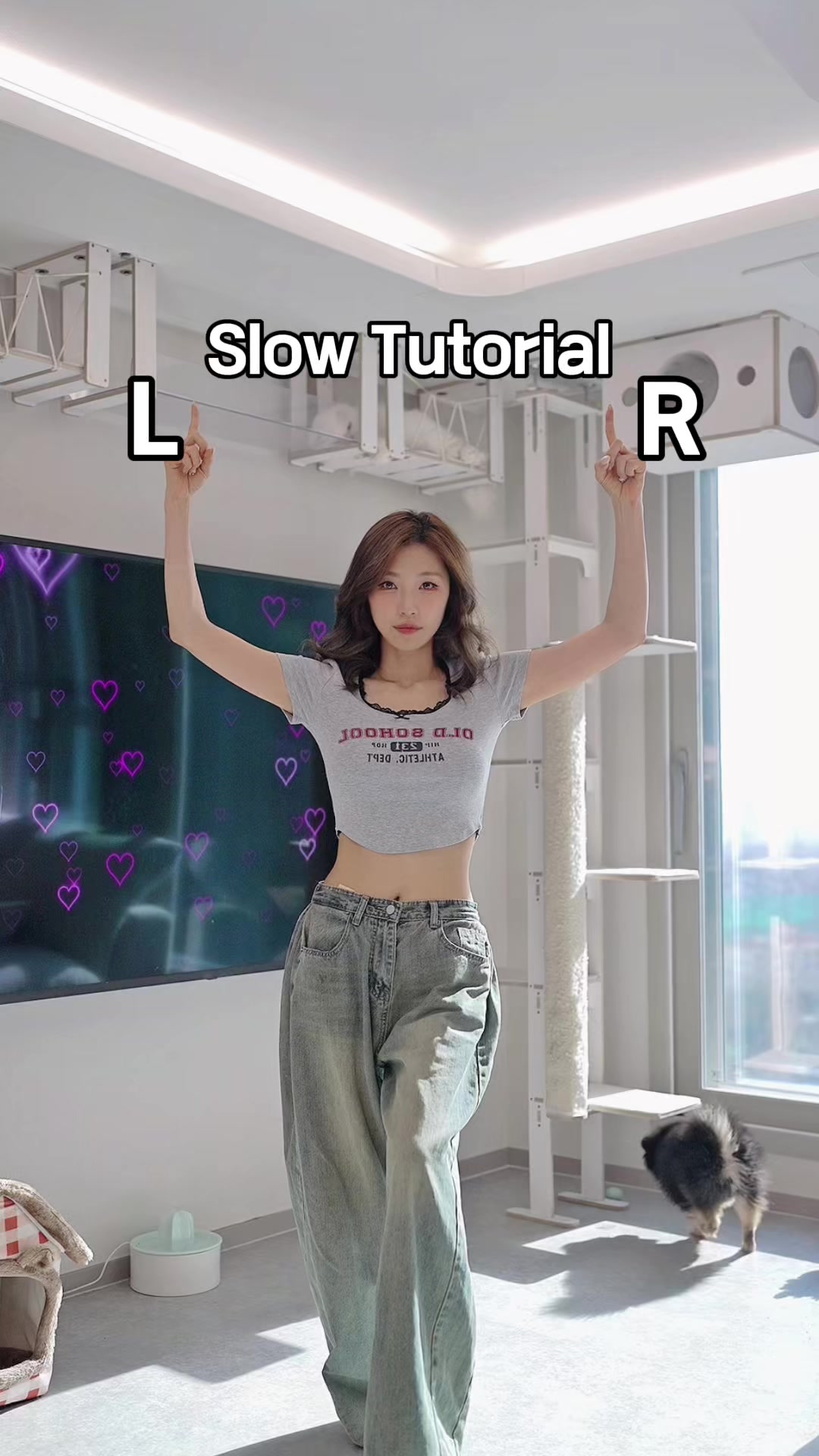 @소나월드 sonaworld