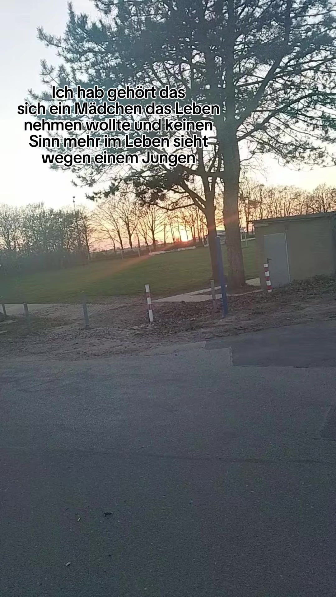 @mailin