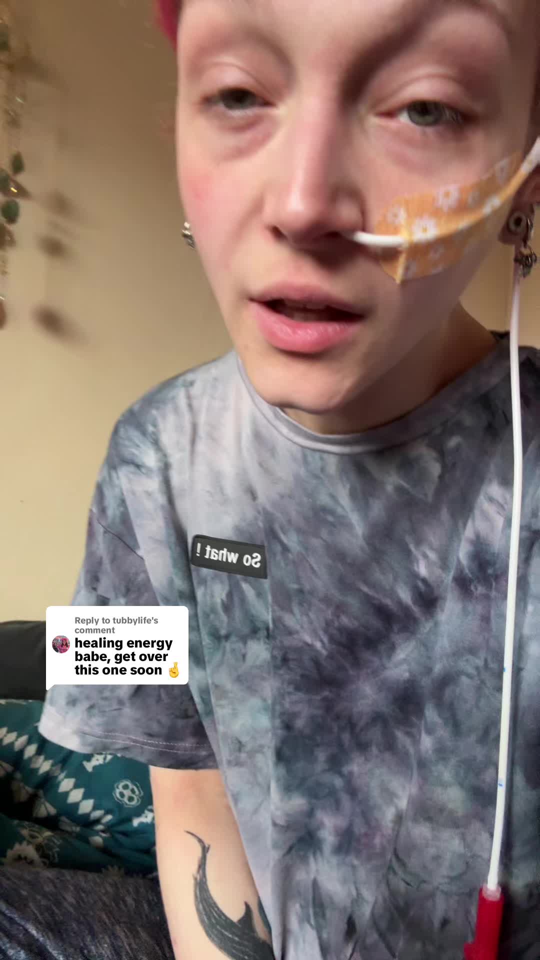 @Mystical_Animal_Lover🦄