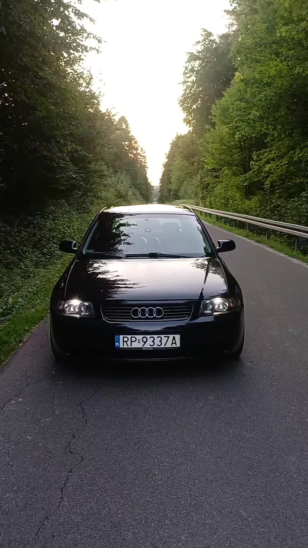 @Lysik_19