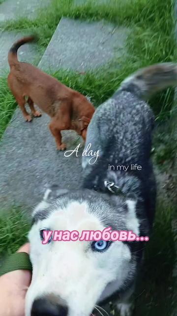 @К̶А̶Р̶А̶Т̶Е̶Л̶Ь̶Н̶И̶Ц̶А̶