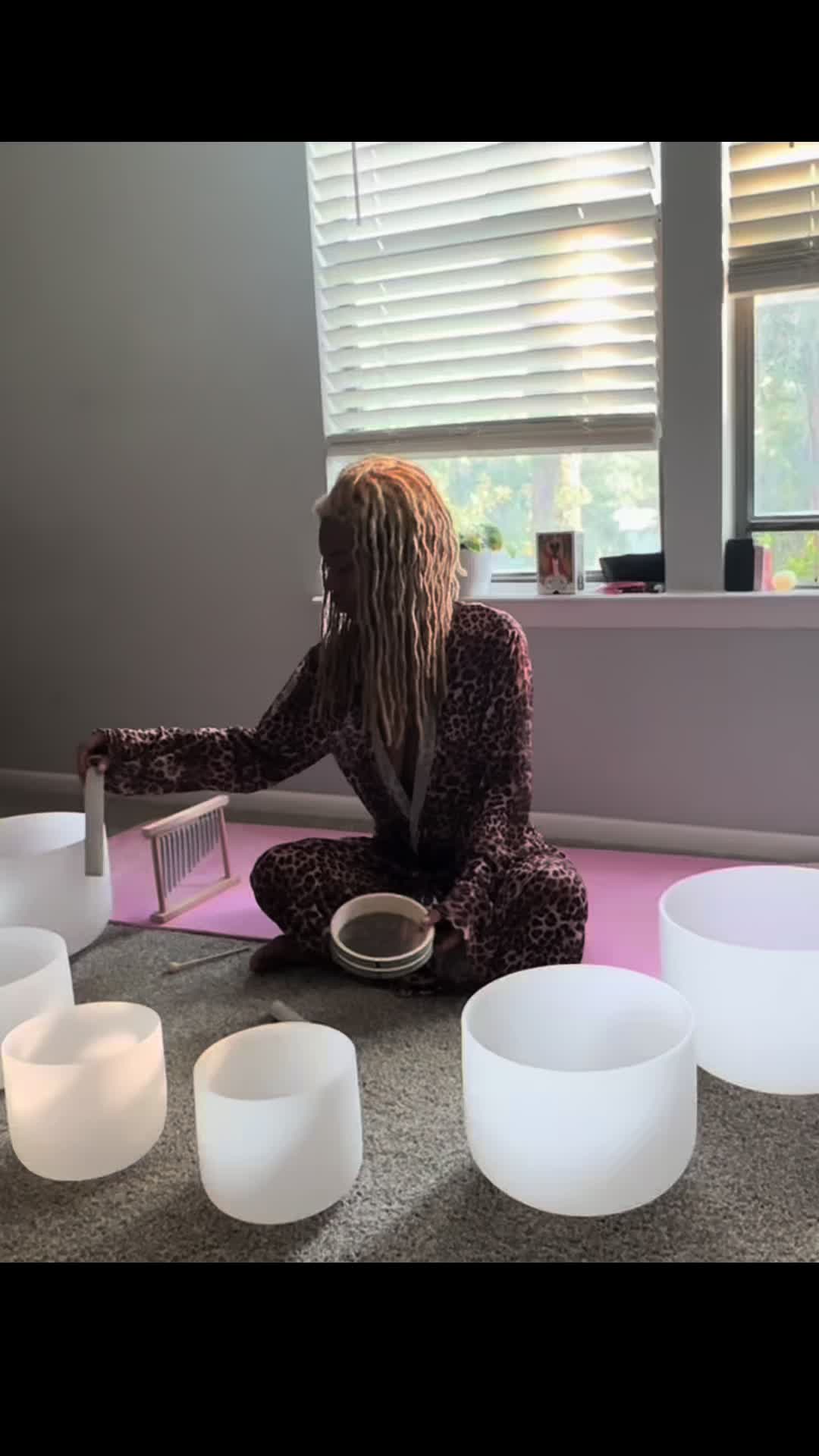 @thehausofvenom