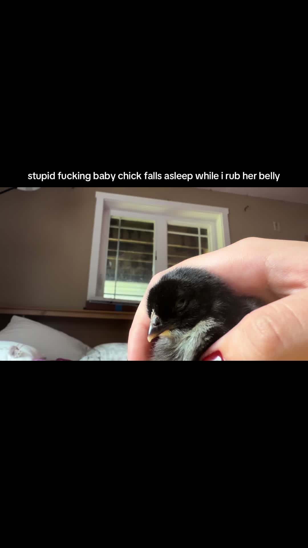 @kelby ann