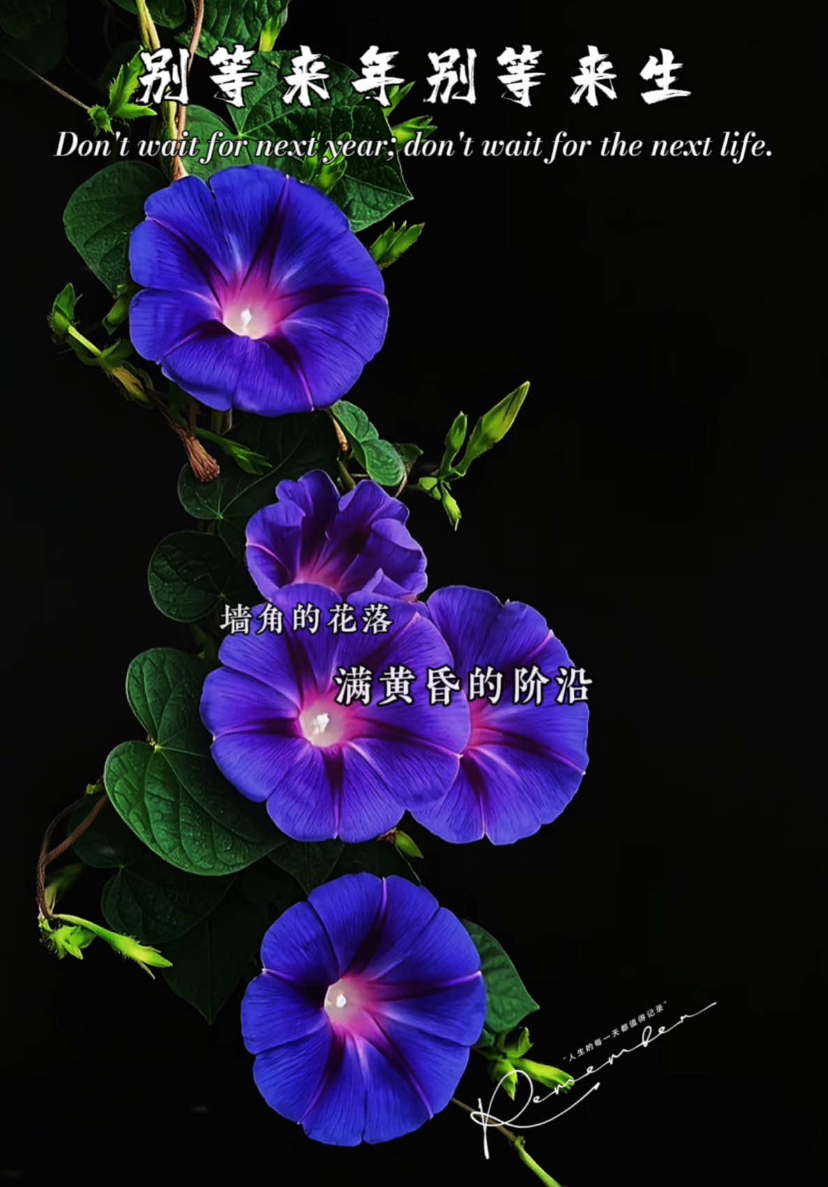 @馨悦·情感音乐