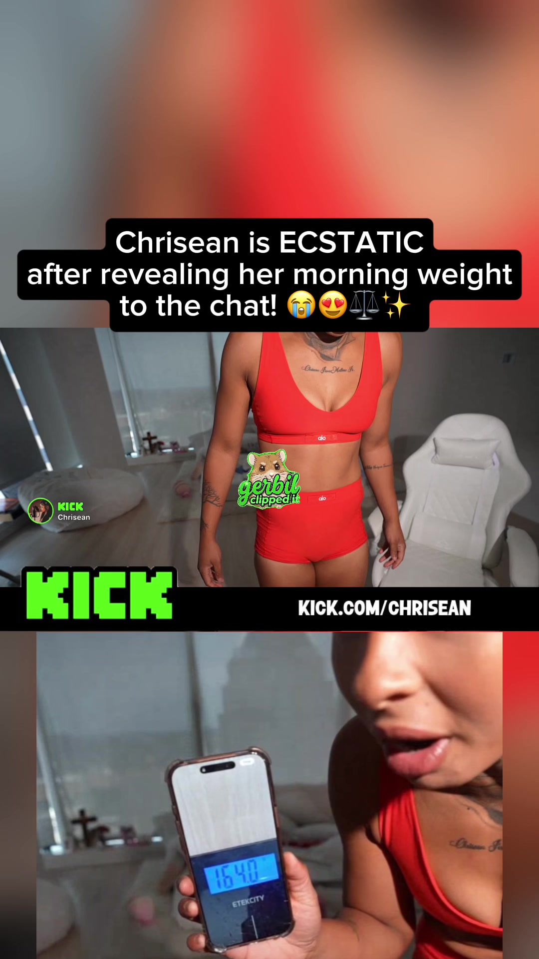 @gerbilclippedit
