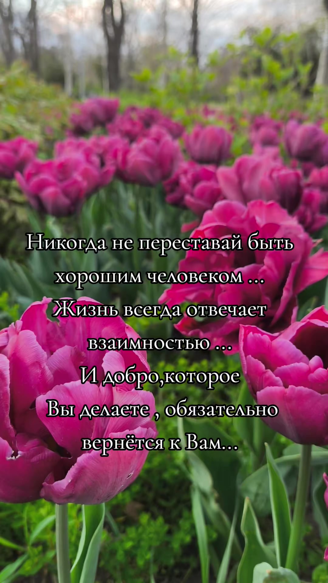 @♓️Татьяна♓️